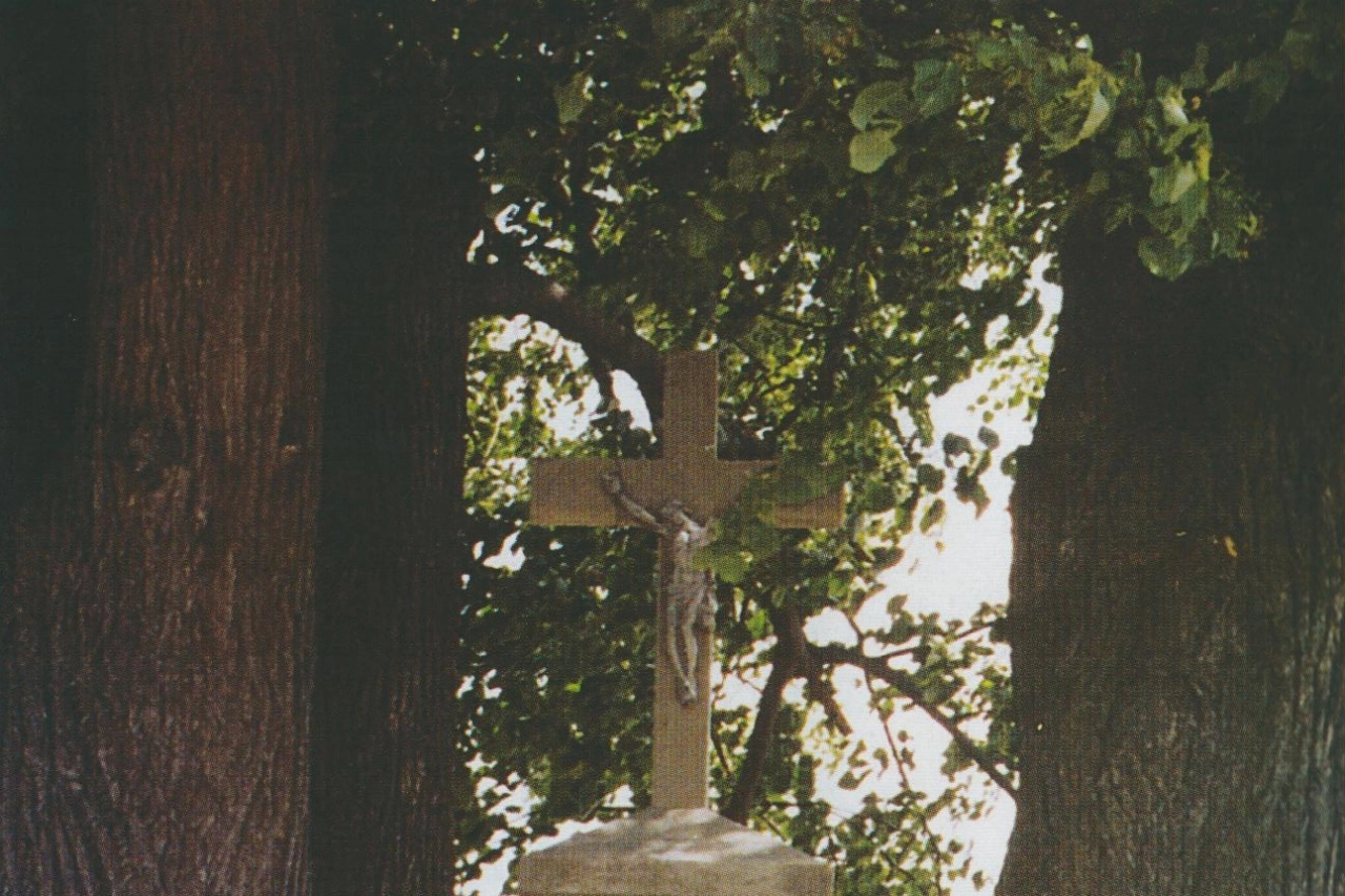 6. Cmentarz choleryczny i krzyż przy ul. Wioślarskiej - zdjęcie 0